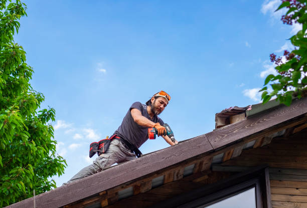 Best Solar Panel Roofing Installation  in Hart, MI