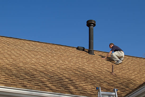 Best Roof Maintenance and Cleaning  in Hart, MI